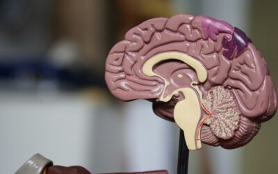 Life Beyond Addiction: How Intensive Outpatient Programs (IOP) Provide Lasting Support