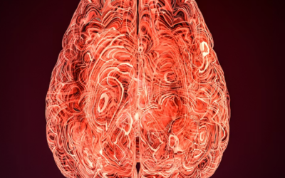 Mental Health Care in Addiction Treatment Is Not an Add-On. It Is What Holds Recovery Together