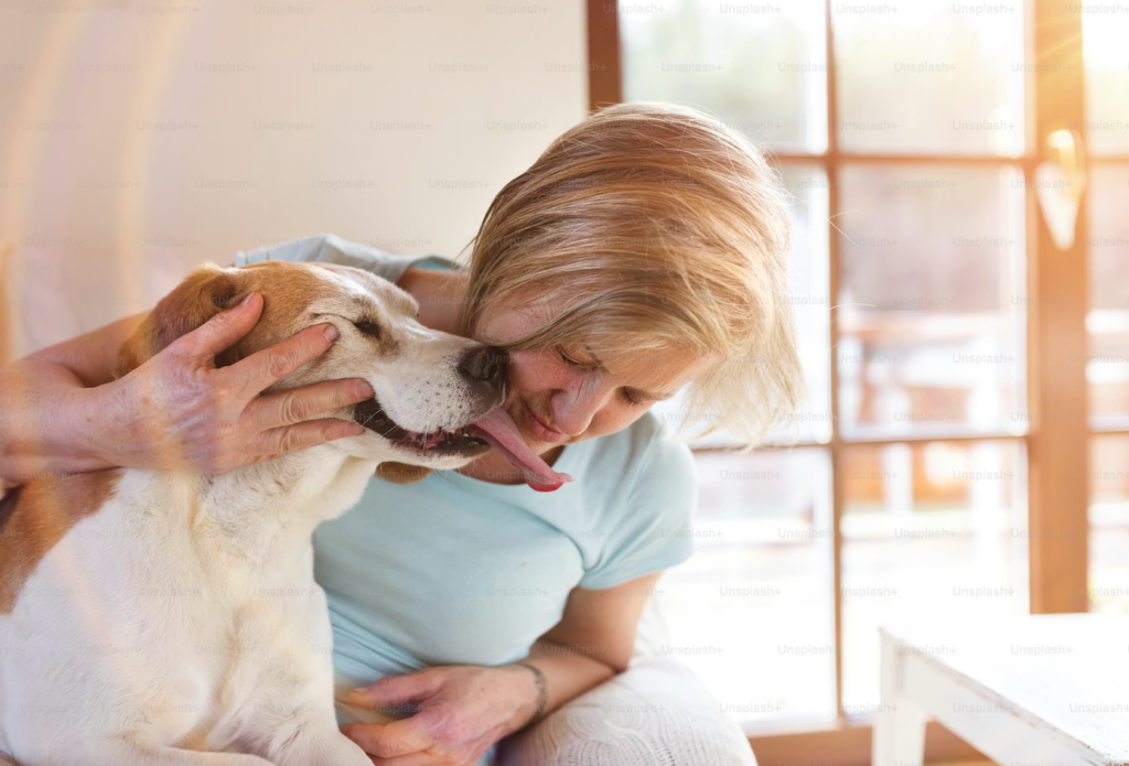 animal-assisted
