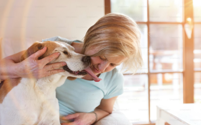 Animal-Assisted Therapy Reaches Parts of the Healing Process That Talk Therapy Sometimes Cannot
