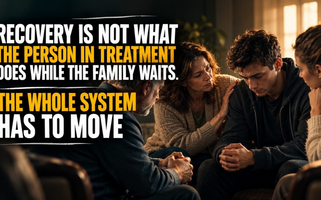 Recovery Is Not What the Person in Treatment Does While the Family Waits. The Whole System Has to Move